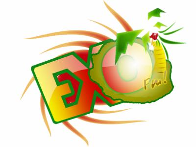 La premi&eacute;re radio soleil a la REUNION EXO FM